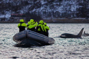 norway travel package