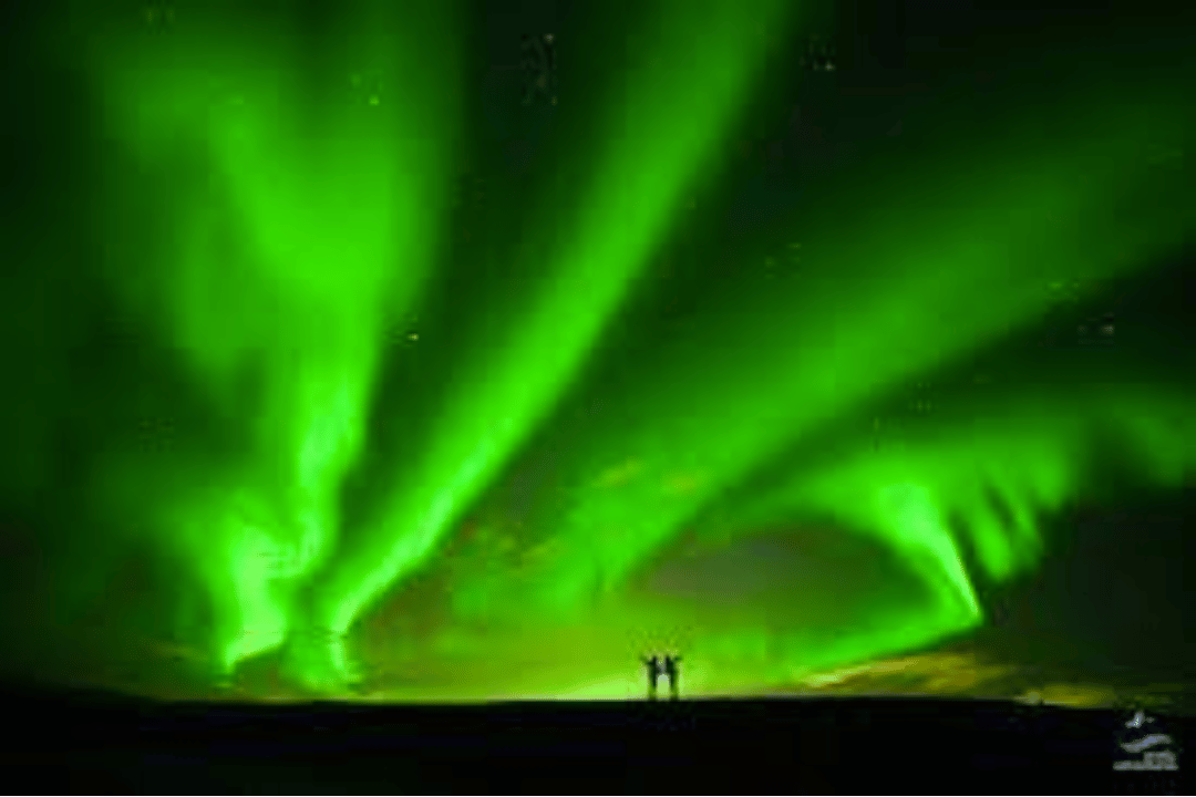 Northern Light Tour